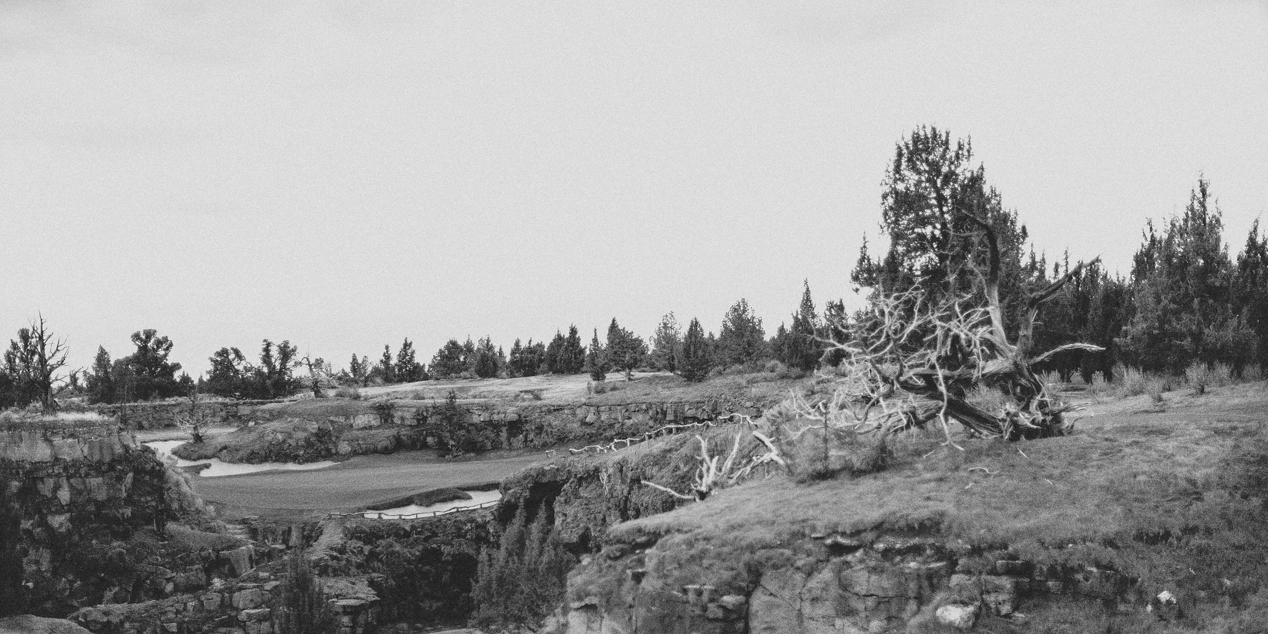 Ian-Golf-Resized-16