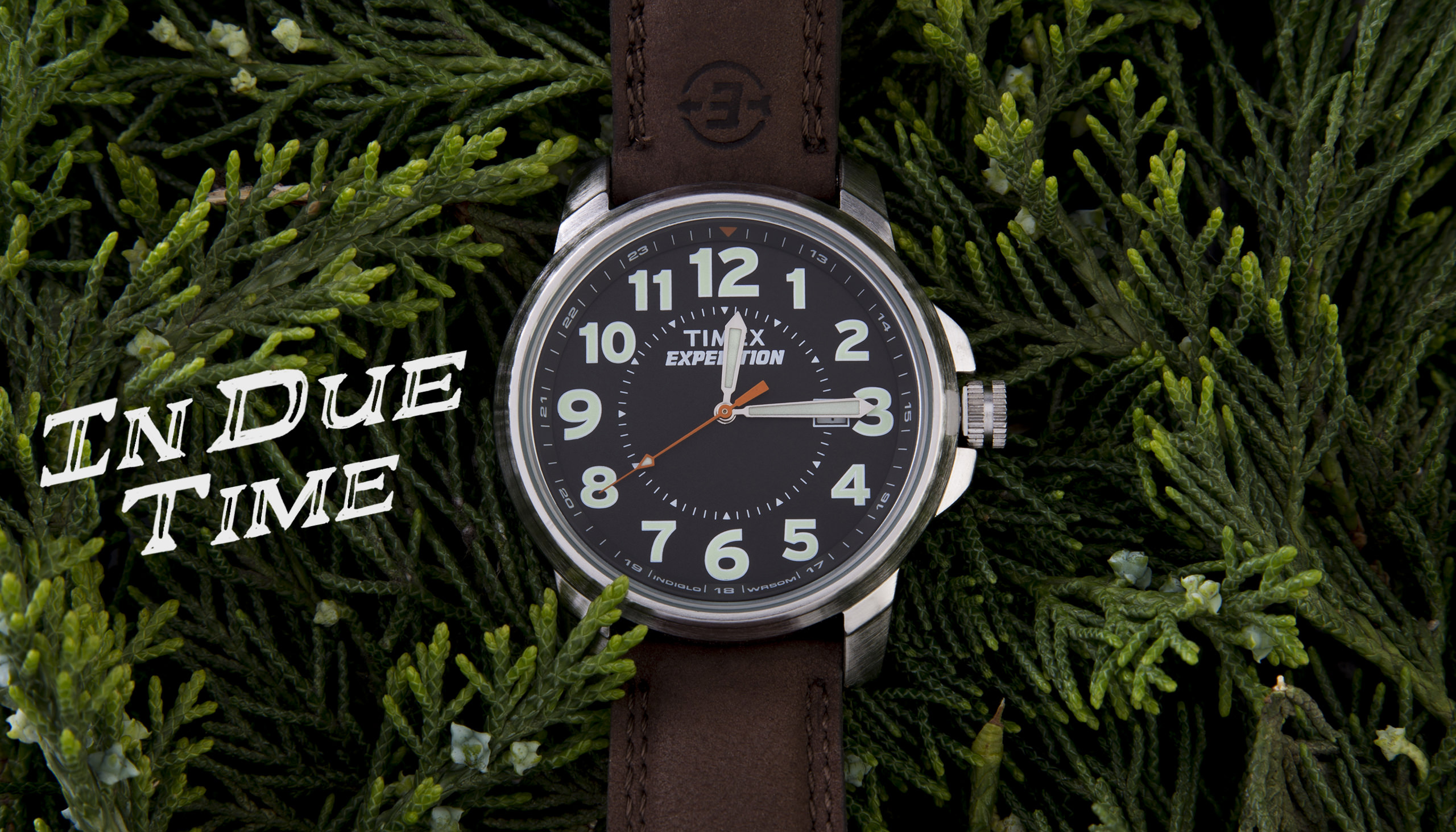 Watches-Timex