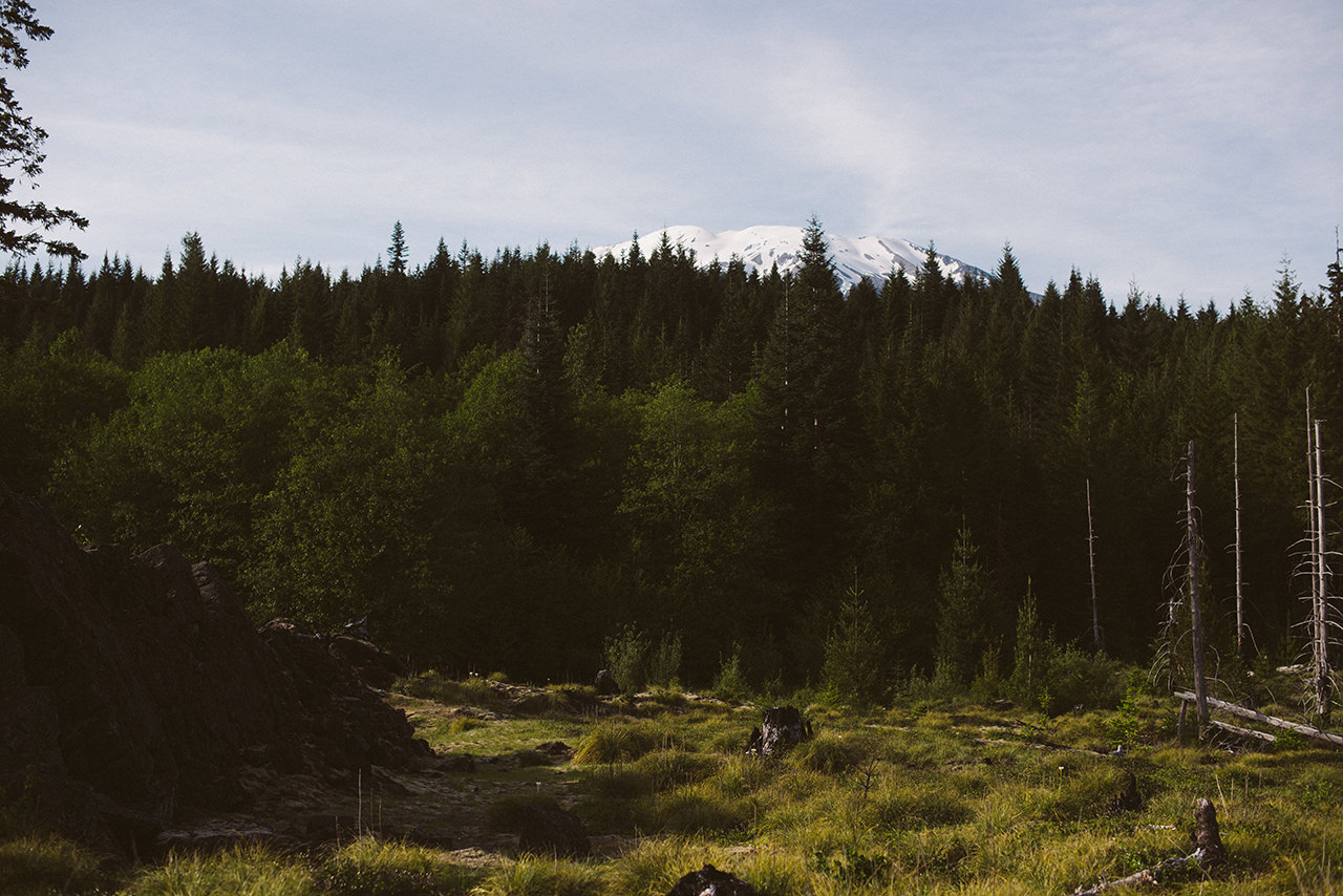 Well-Grounded-5