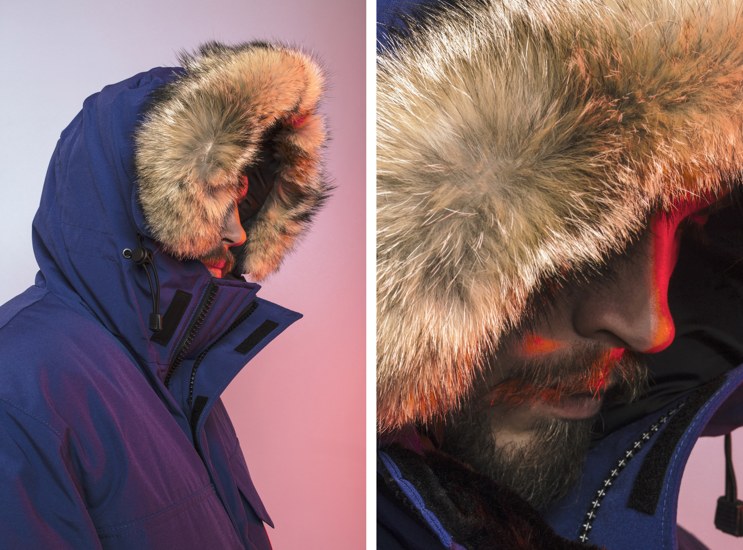 Canada-Goose-2