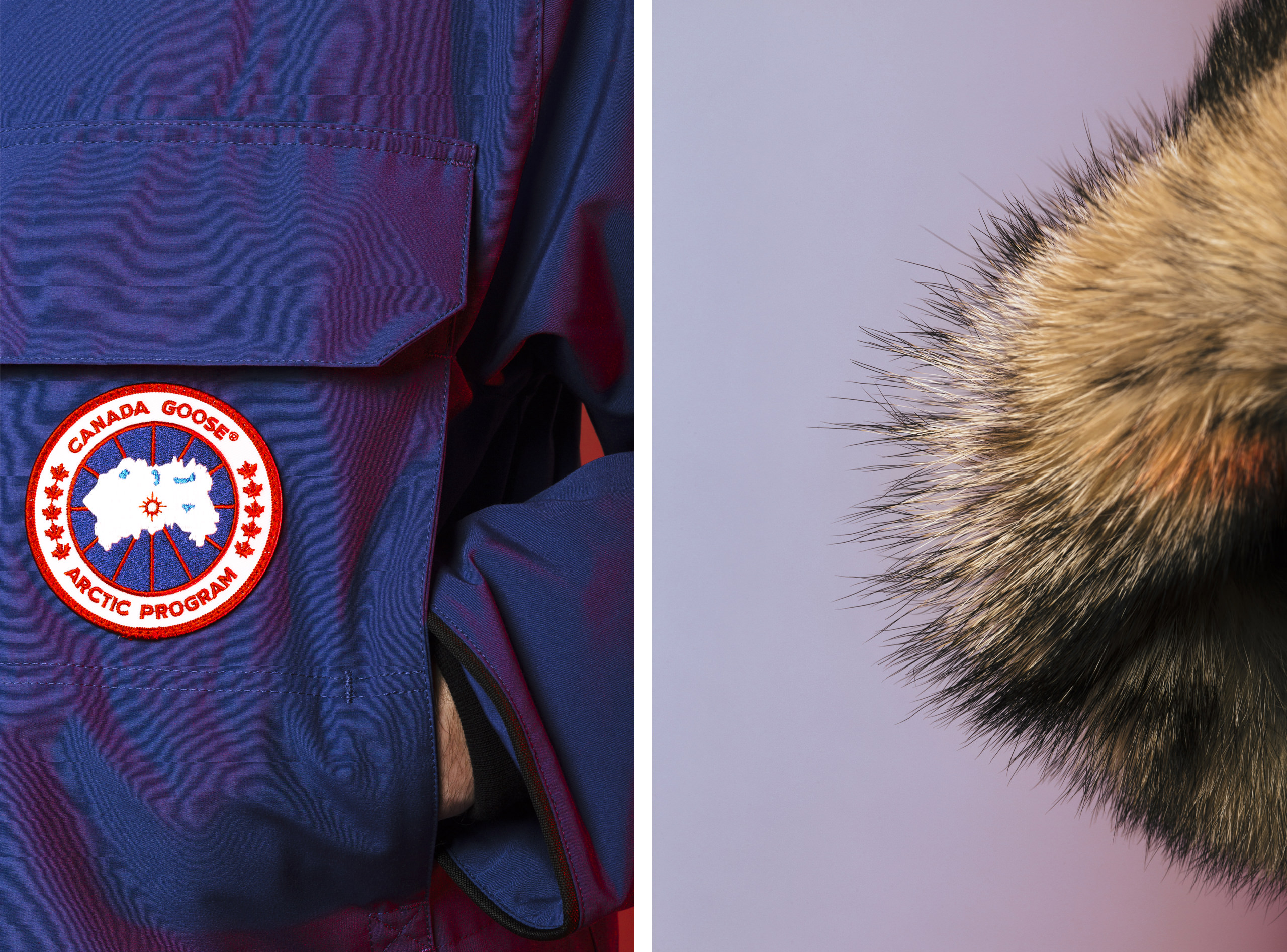 Canada-Goose-3