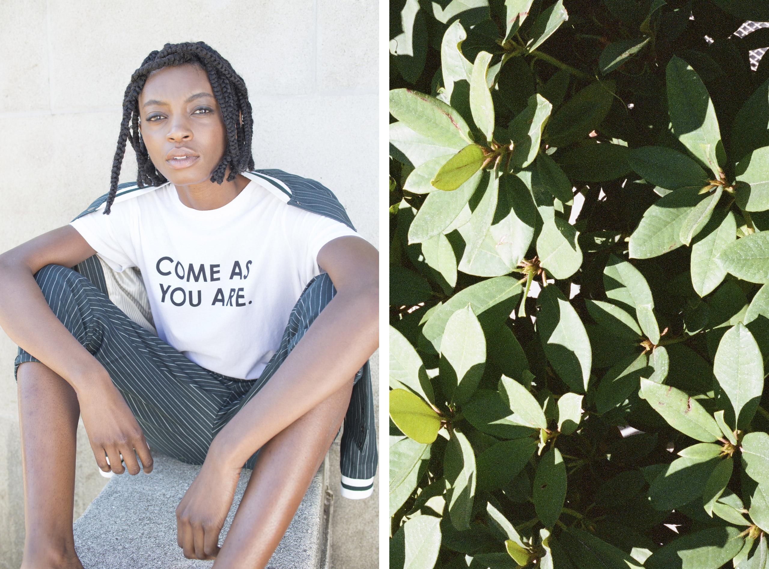 Wildfang-7